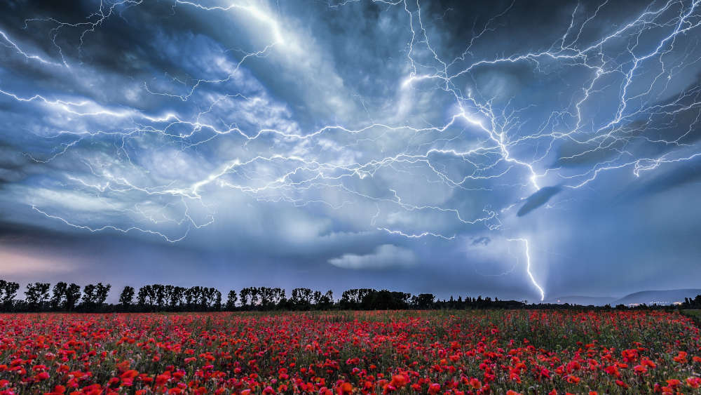 "Mohnfeld im nächtlichen Gewitter", Motiv des Monats Mai (Foto: Jochen Heim)