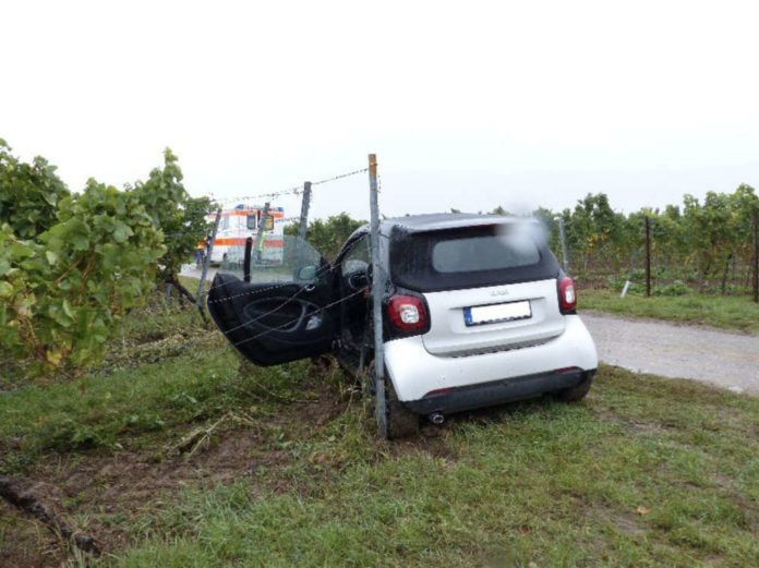 Der beschädigte Smart (Foto: Feuerwehr Neustadt)