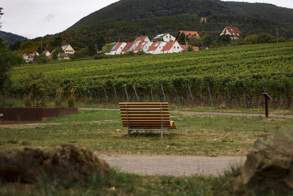 Waldsofa (Foto: Stefanie Brechtel)