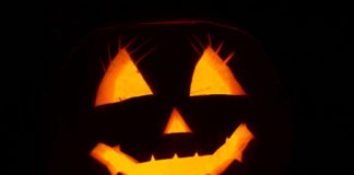 Symbolbild Halloween Kürbis (Foto: Pixabay/Andreas Lischka)
