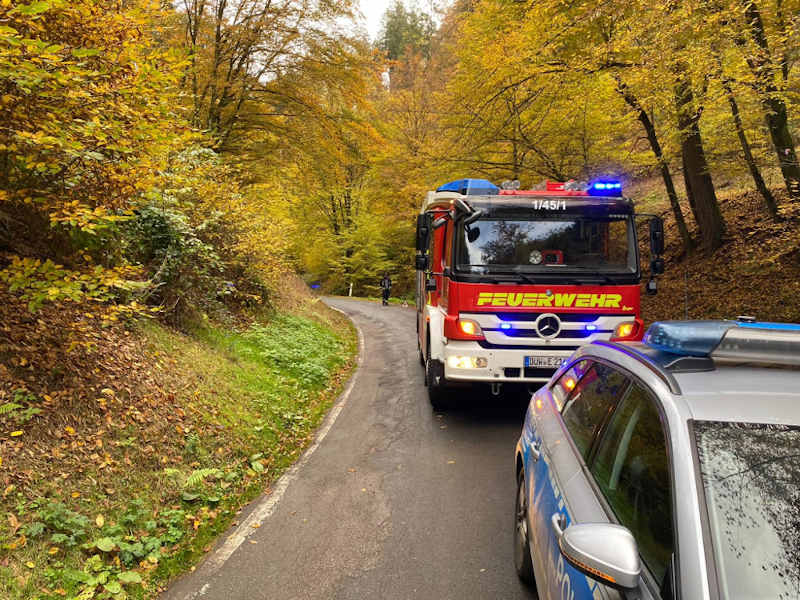 Einsatz (Foto: Presseteam der Feuerwehr VG Lambrecht)