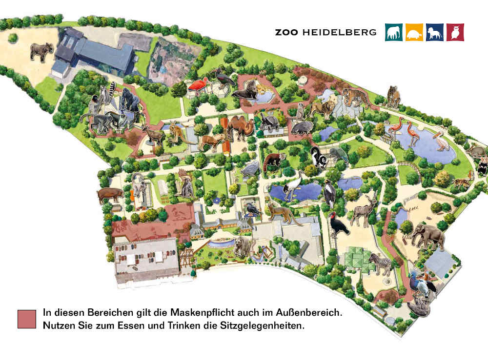 In den markierten Bereichen herrscht Maskenpflicht (Foto: Zoo Heidelberg)