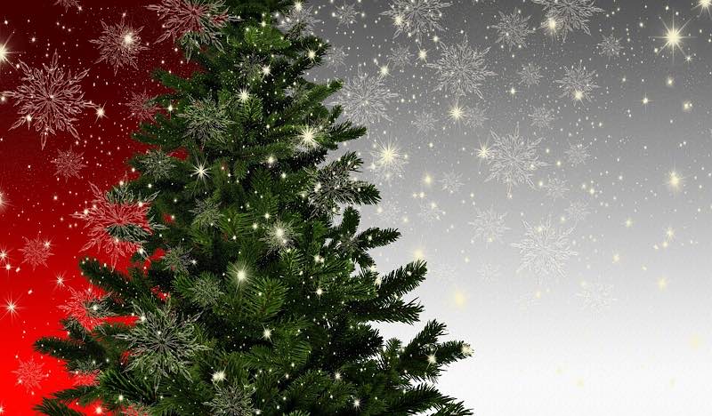 Symbolbild Weihnachten Weihnachtsbaum (Foto: Pixabay/Gerd Altmann)