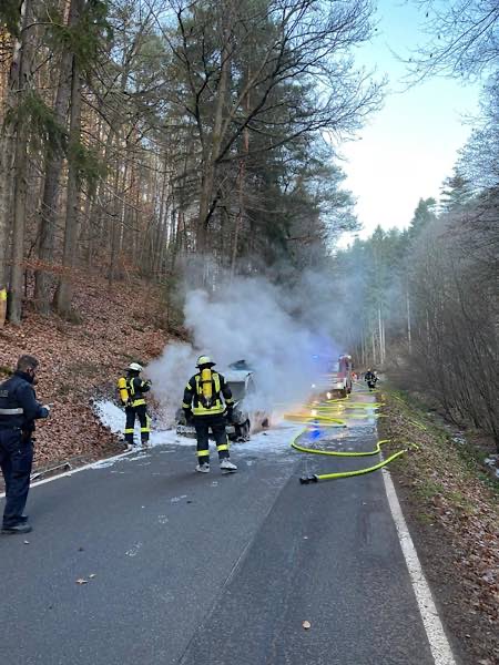 PKW-Brand (Foto: Presseteam der Feuerwehr VG Lambrecht)