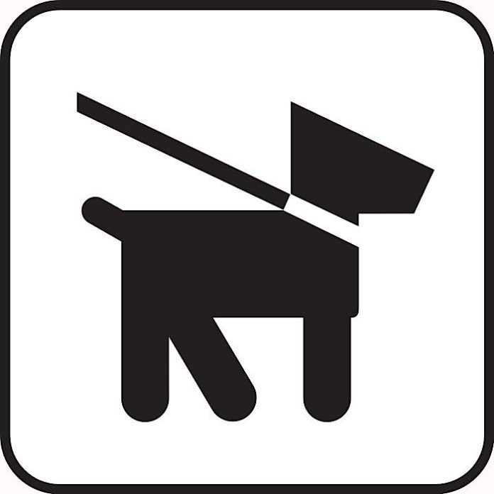 Symbolbild Hund Leine (Foto: Pixabay)