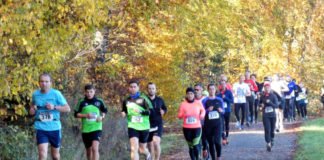 Bild vom Karlsbader Volkslauf 2019 (Foto: Hannes Blank)