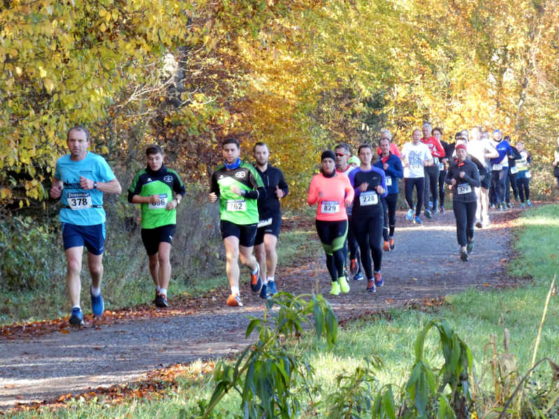 Bild vom Karlsbader Volkslauf 2019 (Foto: Hannes Blank)