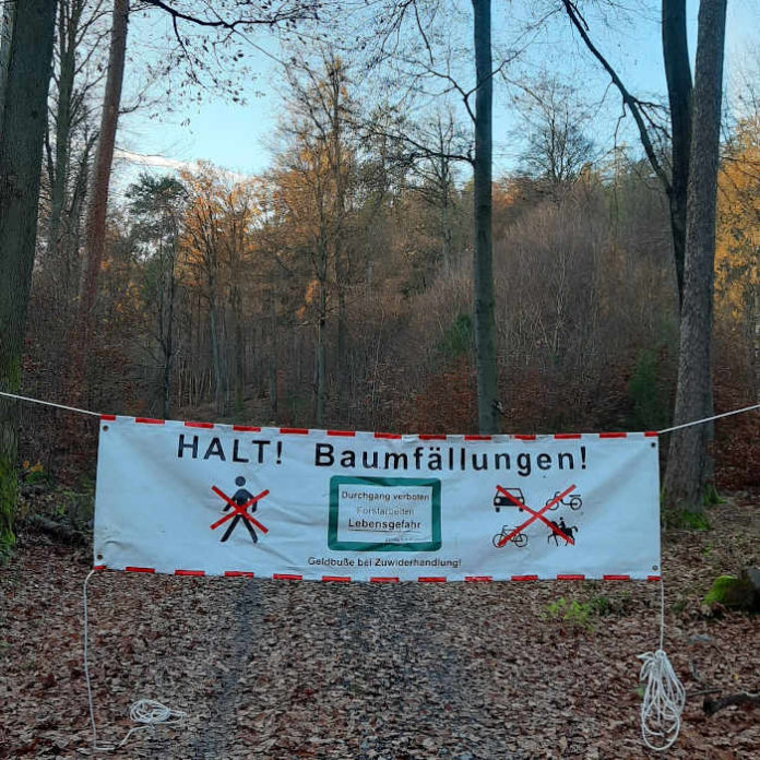 Sperrbanner Baumfällungen (Foto: Landratsamt Rhein-Neckar-Kreis)