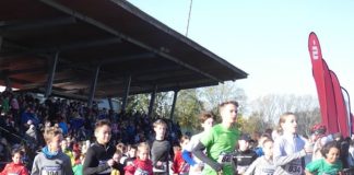 Start des 10km-Laufs 2019 (Foto: Hannes Blank)