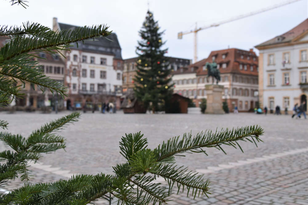 Der Blick auf den weihnachtlich geschmückten Landauer Rathausplatz. Hier findet an drei Donnerstagen im Dezember der neue Winterwochenmarkt statt. (Quelle: Stadt Landau)