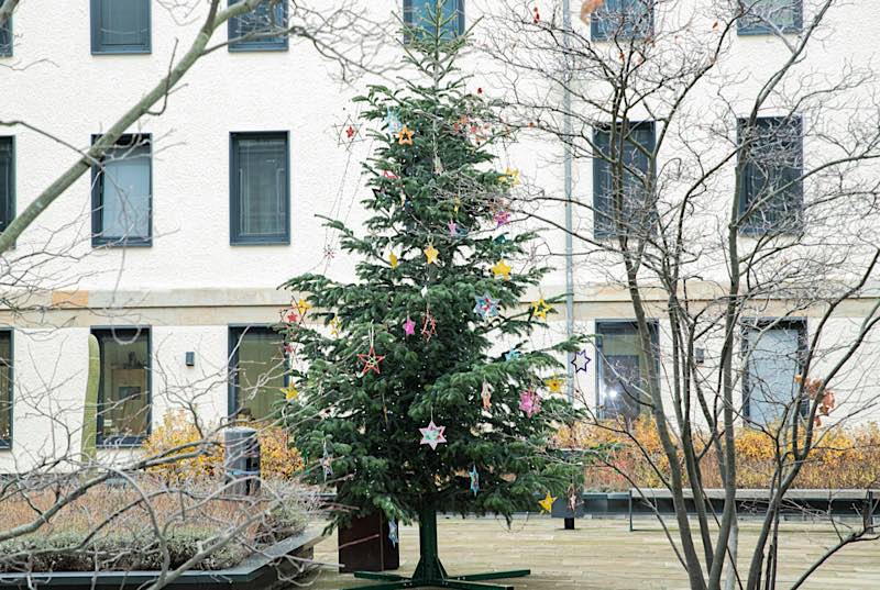 Weihnachtsbaum aus Speyer (Foto: Landtag Rheinland-Pfalz)