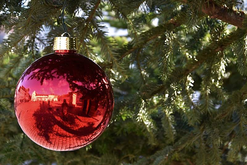 Zu einem schönen Weihnachtsfest gehört für viele Menschen ein hübsch geschmückter Christbaum einfach dazu. (Quelle: Stadt Landau)