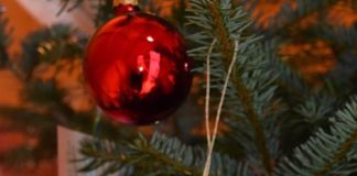 Alle 300 Kärtchen mit Weihnachtswünschen von Landauer Kindern wurden bereits vom Kinderwunschbaum auf dem Rathausplatz „gepflückt“. (Quelle: Stadt Landau)