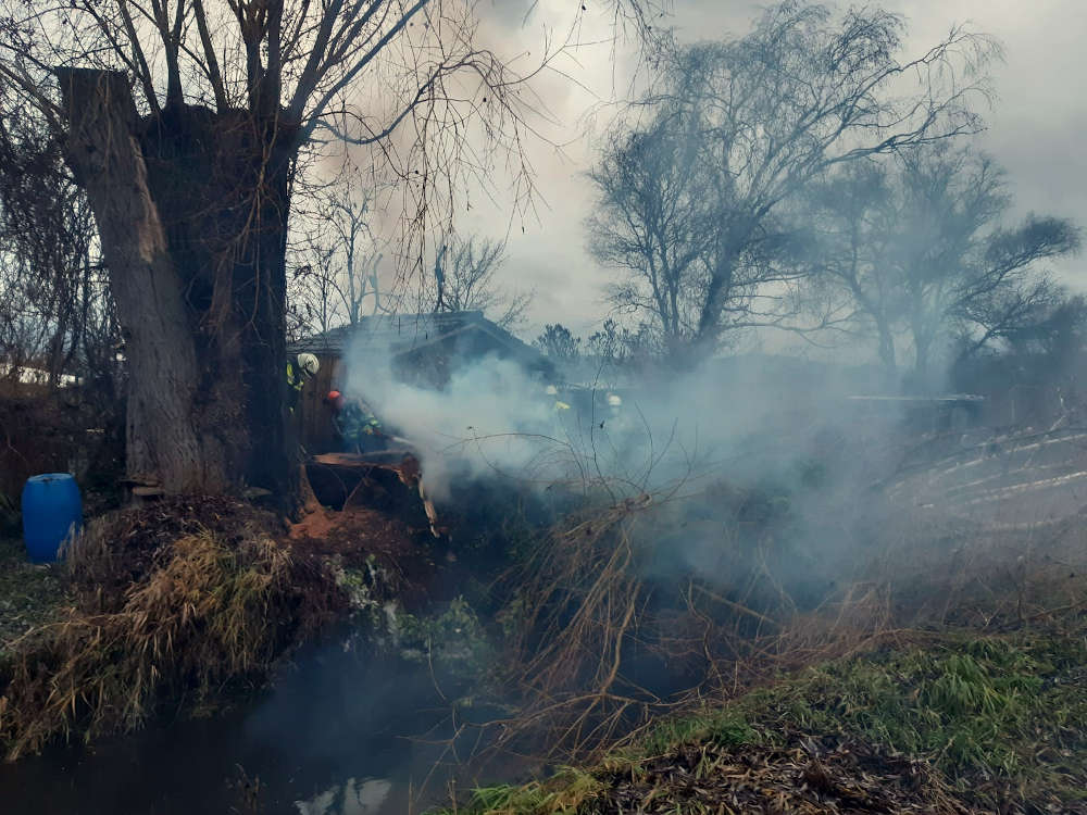 Ein Baum brannte (Foto: Feuerwehr Bad Dürkheim)