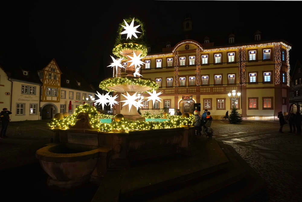Neustadt Rathaus Janosch Fenster (Foto: Reinhard Schnell)