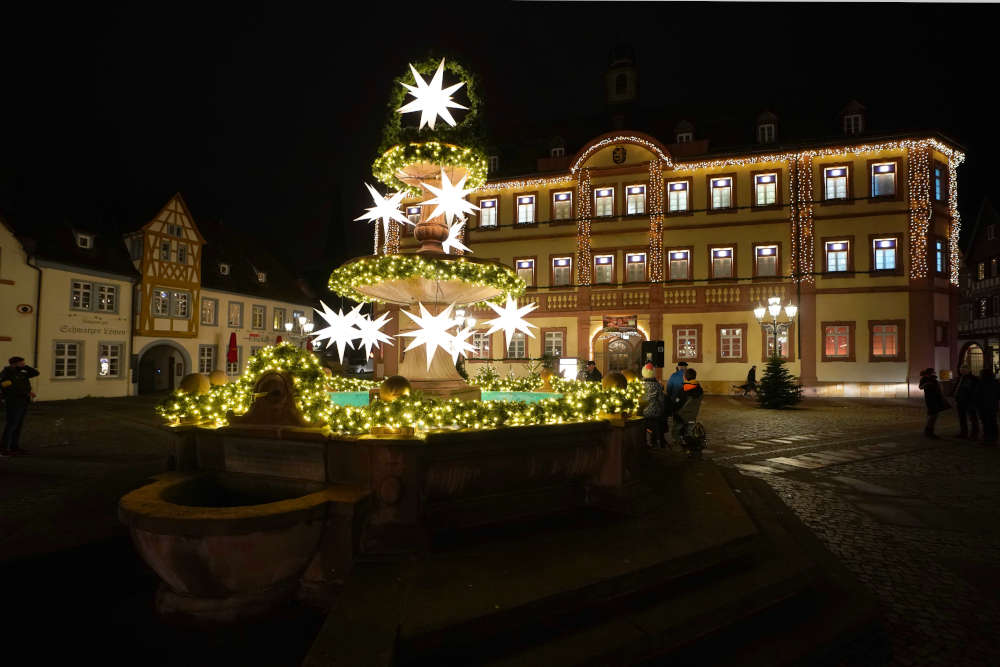 Neustadt Rathaus Janosch Fenster (Foto: Holger Knecht)