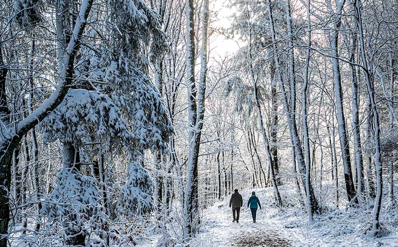 Donnersberg Schnee (Helmut Dell)