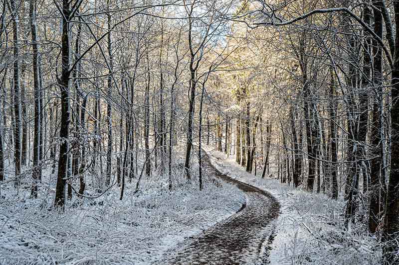 Donnersberg Schnee (Helmut Dell)