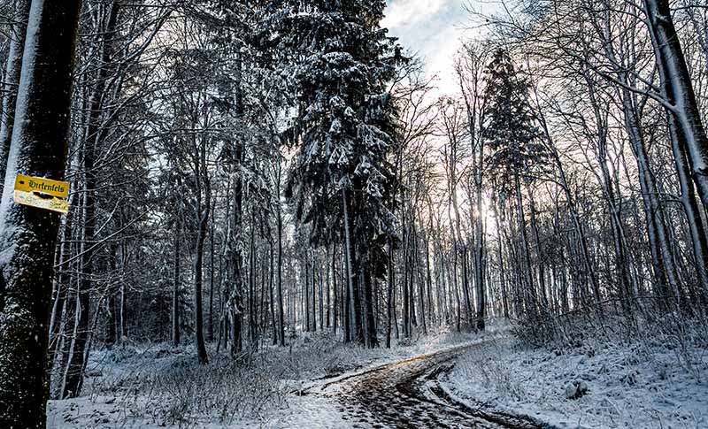 Donnersberg Schnee (Helmut Dell)