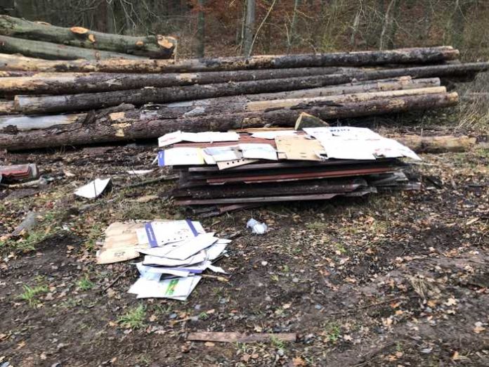 Illegal im Wald entsorgte Asbestplatten