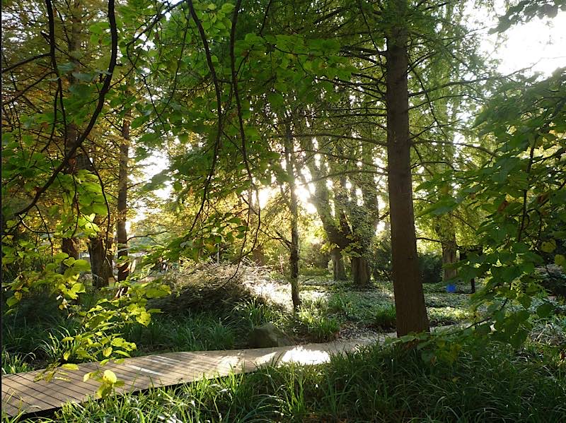 Herzogenriedpark (Foto: Stadtpark Mannheim gGmbH)