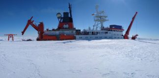 Entladung der Polarstern (Foto: AWI/Klaus Guba)