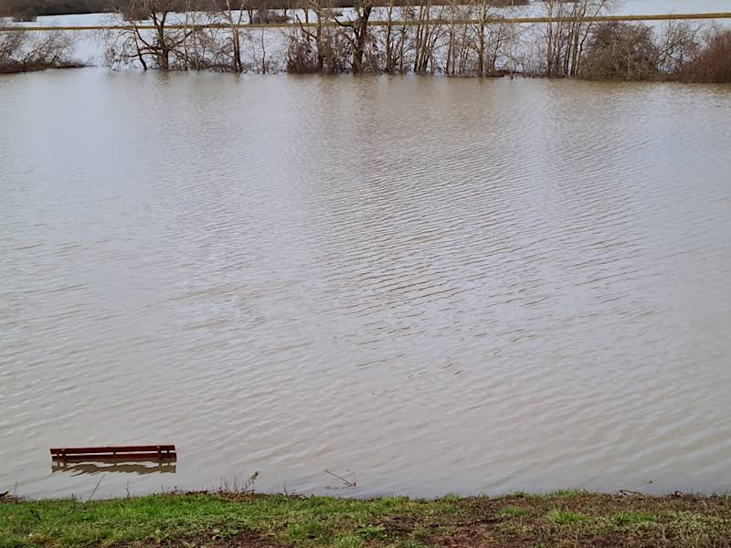 Blick auf das Hochwasser in den Schwetzinger Wiesen am Weidweg, eine Bank am Rande des Fahrradwegs ist gerade noch zu sehen. (Foto: Bürgermeisteramt Brühl)