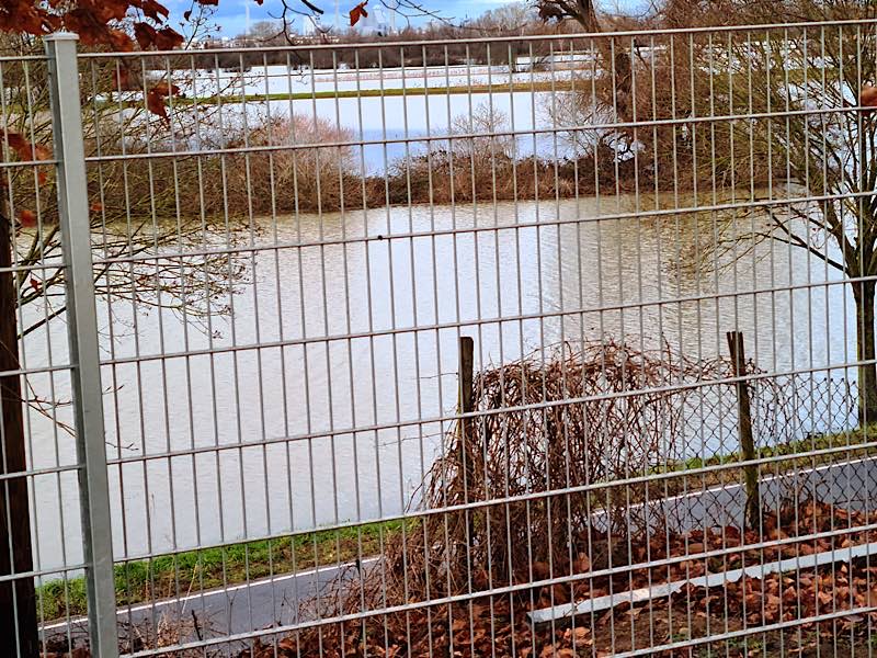 Blick auf das Hochwasser in den Schwetzinger Wiesen am Weidweg, eine Bank am Rande des Fahrradwegs ist gerade noch zu sehen. (Foto: Bürgermeisteramt Brühl)