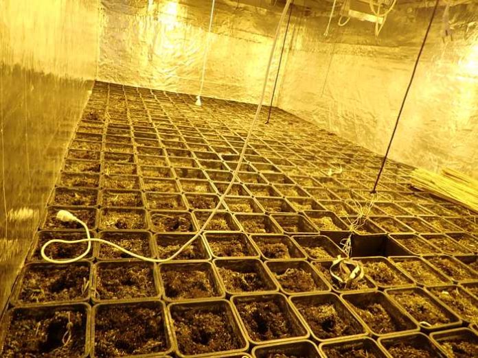 Die abgeerntete Cannabisplantage im Inneren der Halle