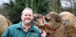 Große Freude im Zoo Landau und bei Zoodirektor Dr. Jens-Ove Heckel: Zum 1. März darf die Einrichtung wieder öffnen. (Quelle: Stadt Landau)