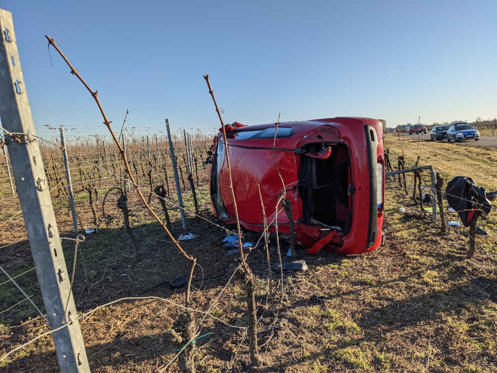 PKW im Wingert (Foto: Polizei RLP)