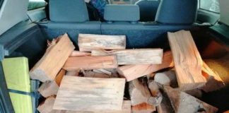 Ein Kofferraum voll Brennholz