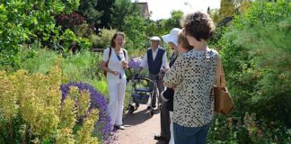 Mediterraner Garten in Maikammer (Foto: BfT Maikammer)