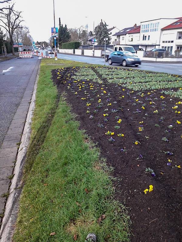 Zerstörte Blumenbeete (Foto: Stadt Speyer)