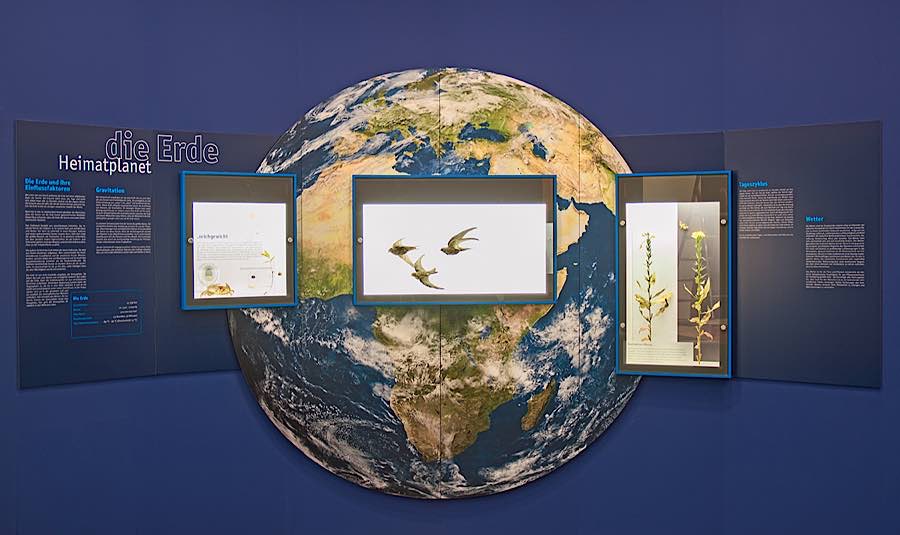 Dauerausstellung (​​​​​Foto: Pfalzmuseum für Naturkunde)