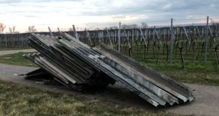 Entsorgte asbesthaltige Eternitplatten (Foto: Polizei RLP) Entsorgte asbesthaltige Eternitplatten (Foto: Polizei RLP)