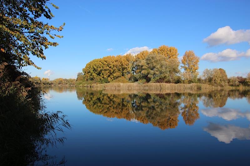 Ausflugsziel: Reilinger Baggersee (Foto: W. Rosendahl, Mannheim)