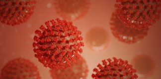 Symbolbild Coronavirus (Foto: Pixabay/visuals3Dde)