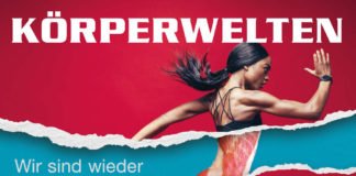 Körperwelten-Ausstellung (Foto: Institut für Plastination e.K.)