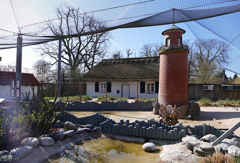 Da kommen Urlaubsgefühle auf: Im Küstenpanorama des Zoo Heidelberg bereiten sich die Vögel auf die Brutsaison vor. Voraussichtlich ab Samstag, 01.05.2021 ist ein Zoobesuch wieder ohne Nachweis über einen negativen Corona-Test möglich. Ein Online-Ticket ist weiterhin notwendig für den Zoobesuch. (Foto: Petra Medan/Zoo Heidelberg)