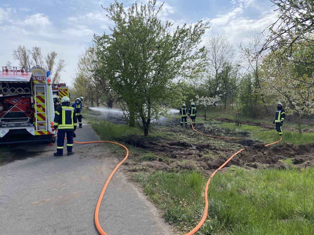 Flächenbrand an der B 39 (Foto: Feuerwehr Neustadt)