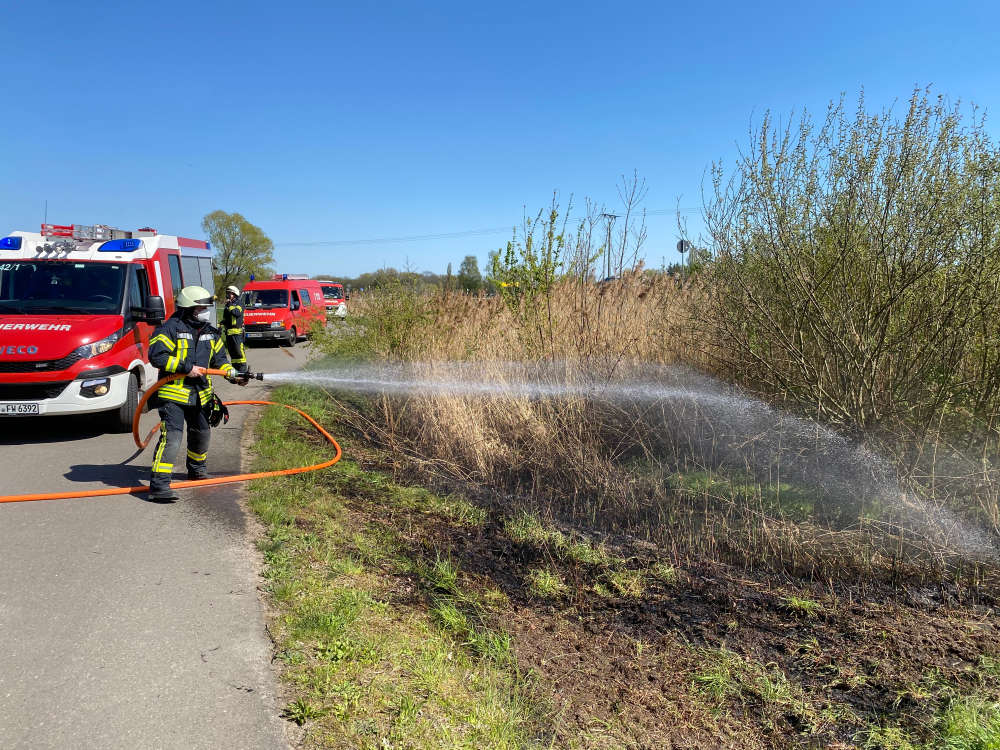 Flächenbrand (Foto: Feuerwehr Neustadt)