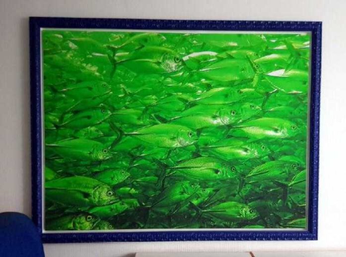 Bei diesem Bild mit grünen Fischen und blauem Rahmen handelt es sich um ein Individualstück