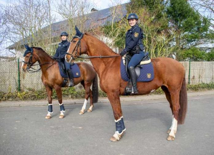 Zwei Pferde für die Polizeiwache Maxdorf