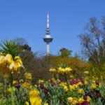 Symbolbild Luisenpark Mannheim (Foto: Stadtpark Mannheim gGmbH)