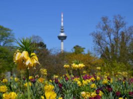 Symbolbild Luisenpark Mannheim (Foto: Stadtpark Mannheim gGmbH)