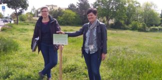 Auch auf dieser Fläche sollen demnächst viele Blumen blühen, damit die Artenvielfalt erhöht wird. Das wünschen sich Dezernentin Waltraud Blarr (re.) und Eva Lawrenz. (Foto: Stadtverwaltung Neustadt)