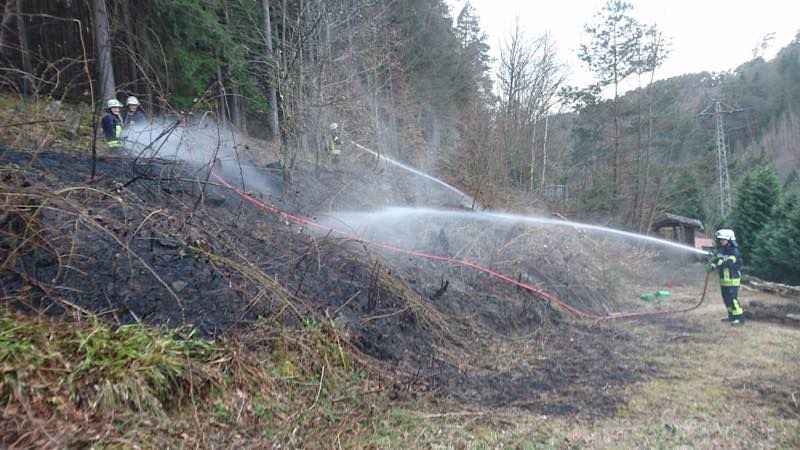 Symbolbild (Foto: Presseteam der Feuerwehr VG Lambrecht)