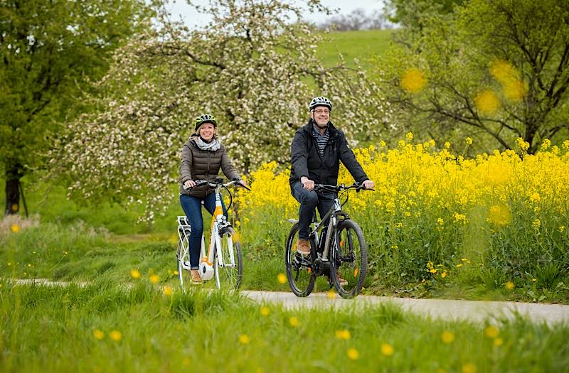 Radfahren im Rhein-Neckar-Kreis (Foto: Tobias Schwerdt)