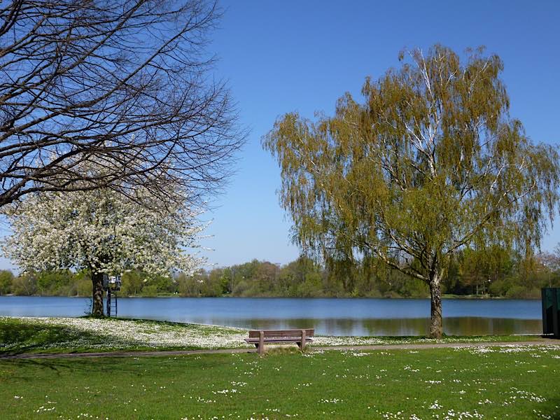 Strandbad Waidsee (Foto: Stadt Weinheim)